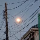 春宵の月下逍遥千鳥足：やんま．