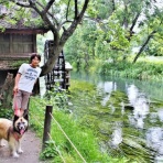 保護犬☆一星14年間の物語