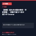 【朗報】枯れ木の国の発売・予約情報 → 初動で追うべきか迷うやつｗｗｗ