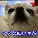 スマホ紛失未遂