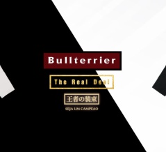 【BULL TERRIER】新作柔術衣入荷しました！