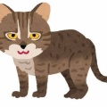 【画像】西表山猫(メス)「台風来てるニャー おうち入れてほしいニャー」