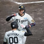 一緒に阪神タイガースを応援しよう！