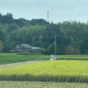 明日から