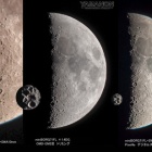 『投稿：スマホでデジスコ～月面Xと野鳥　2021/03/21』の画像