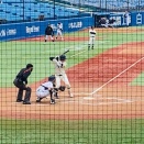 今季最後の東都大学野球１部リーグ観戦に行く！