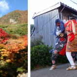 『渡部晴菜隊員について』の画像