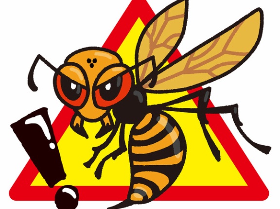 まとめポータル ライブドアブログ