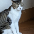 そら君　いっぱい