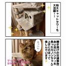 足にハンディ カノン近況