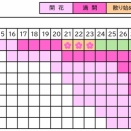 弘前公園さくら情報2026（第21回）