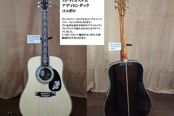 TOYAギター （夢を形に、趣味のオーダーメイドギター） - TD-100