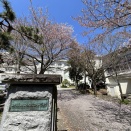 「佐渡高校」編（新入生意識啓発講演会2026）