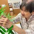 七夕〜願いを込めて〜