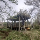 続々開花が始まっています♪