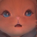 【FF14】吉P「ヒーラーはあまり攻撃しなくても他ロールが“しっかり” してれば越えられる調整」零式などでヒラに火力を求めるDPSは仕事できない恥知らずだった…