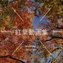 2025年東京周辺の紅葉動画