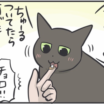猫たちの血液検査の結果が送られてきました