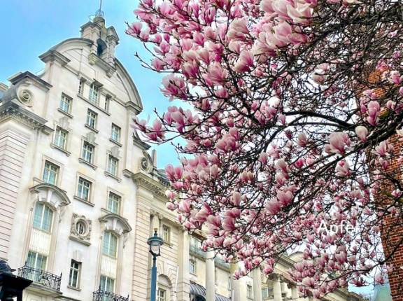 久しぶりのロンドン🇬🇧