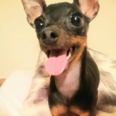 12月半ばのご予約に関しまして(*´∀｀)