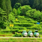 日本の原風景