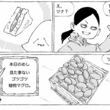 海外路上のマグロめし。