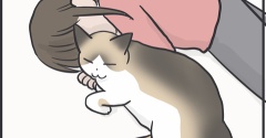 29日はぺーやんの日