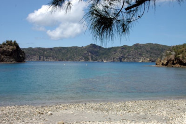 小笠原父島でモンスターラッシュ ざっと日刊つり人