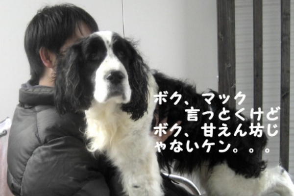 筑後市セルフシャンプー ドッグバス ミックス