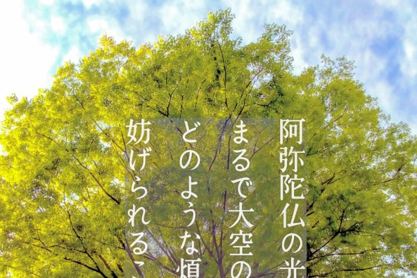 真宗大谷派 卯花山 廻向寺 えこうじ 親鸞 しんらん 聖人の言葉