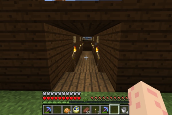 マインクラフト リリシア放浪記 バリュバイオ 2