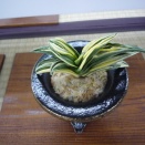 2024年　全国大会から（123）