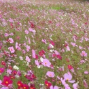 土曜日陶芸教室