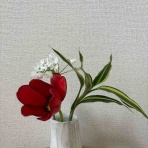 ひろこのひとりごと