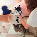 かぼすちゃんとおさんぽ。