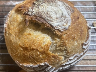 かんぱーにゅ♪ブリスターと過去最高釜伸び♪