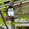 新緑の綺麗な季節になりましたね♪