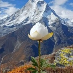 チェンライでテニス