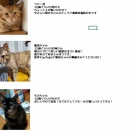 写真で参加の里親さん募集中の猫達です(=^・^=)