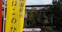 昨日は秘密結社ねこのひげ子猫祭り後半戦譲渡会♪