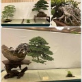 高齢化する各地の愛好会・出来るだけのお手伝い‼️