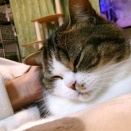 とうちゃん派です‼