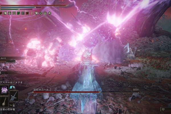 ゲームログブック Elden Ring エルデンリング