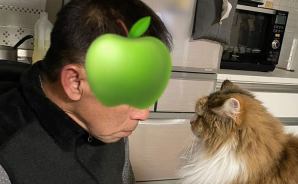 飼い主とにらめっこ対決する猫