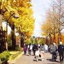 練馬区 光が丘公園の晩秋を訪ねて:２０２５(令和７年１１月)