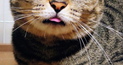 これだからキジ女子の彩ちゃんは…