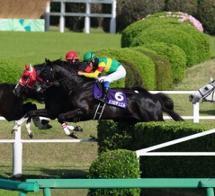 Ecoro Duel（26/04/18・The 28th Nakayama Grand Jump）