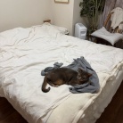 パジャマの上着取られちゃった(*´ω`*)