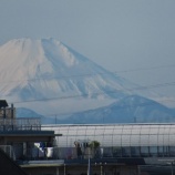 『今年も1年間ありがとうございました』の画像