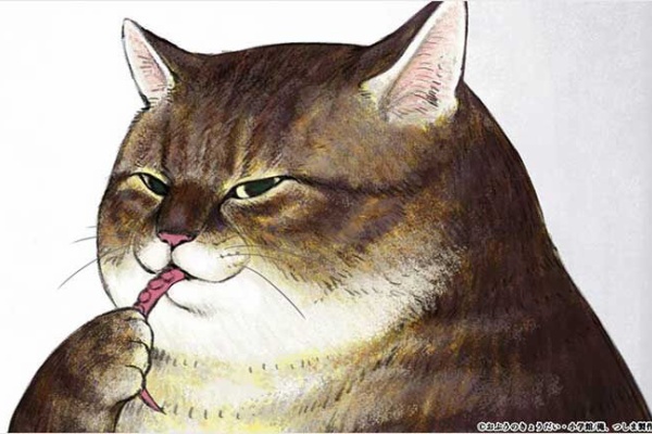 黒猫 The Light Side